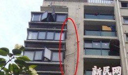 温岭一小区爆料事件最新,业主维权与开发商矛盾升级引发关注