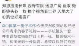 胡歌卓伟最新爆料,揭秘娱乐圈不为人知的真相