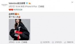 pjsk最新爆料,揭秘娱乐圈最新动态，明星幕后故事大公开！”