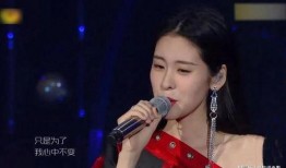 华晨宇张碧晨最新爆料,揭秘幕后故事与情感纠葛