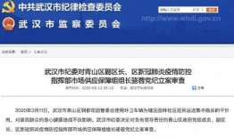 华信煤气最新爆料信息查询,揭秘行业内幕，深度剖析市场动态