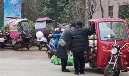 六安头条最新爆料,揭秘重大事件背后真相！”